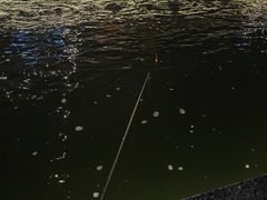 -DGE季风钓虾营地·团建·聚会