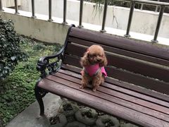 -爱侣宠医·鹦鹉专科·小型哺乳类·异宠专科(灵石路店)