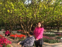 -石家庄市植物园