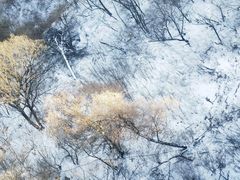 -少华山国家森林公园