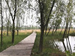 -野鸭湖国家湿地公园