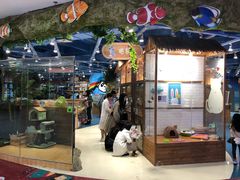 -龟与熊猫宠物公园(南坪店)