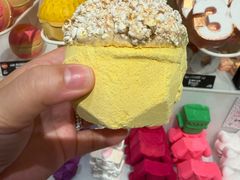 -LUSH(威尼斯人店)