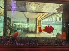 -厦门悦华酒店·绿庭主题自助餐厅