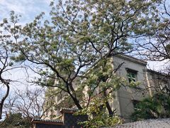 -海口骑楼小吃街