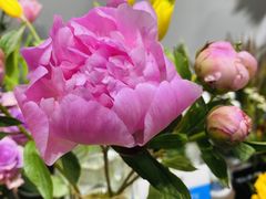 -何兮花店·气球派对鲜花店(马桥银春路万科城店)