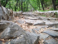 -阳台山自然风景区