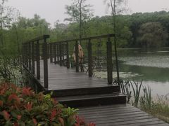 -昆山城市生态森林公园