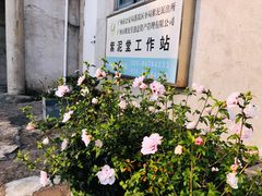 -广州市紫泥堂文化创意园景区