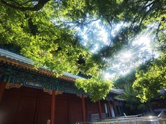 -潭柘寺景区