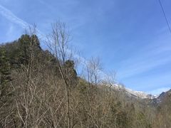 -朱雀国家森林公园