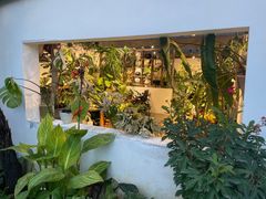 -自由生长植物工作室(深港花卉中心店)