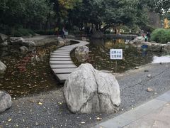 -神仙树公园