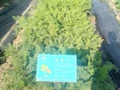 -上膳源有机农场