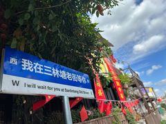 -三林塘老街