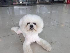 -康乐宝动物医院