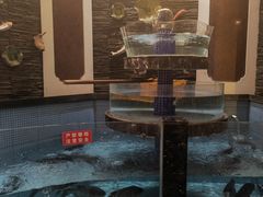 -洞庭渔人(沙湾店)