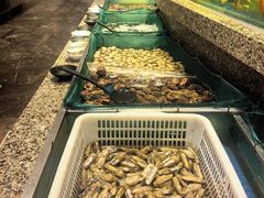-初色海鲜自助(万丰路店)