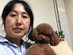 -宠福鑫康馨动物医院·骨科·眼科