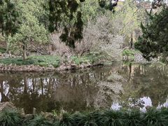 -叶家花园