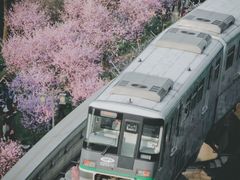 -佛图关公园