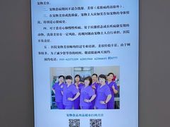 -北京观赏动物医院·24小时大型综合·猫专科·异宠专科
