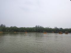 -杨柳青庄园