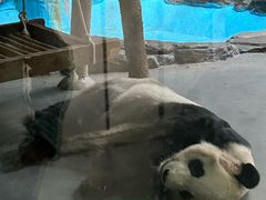 -香市公园-中国沉香文化博物馆