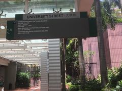 -香港大学