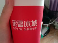 -蜜雪冰城(欧亚商都店)