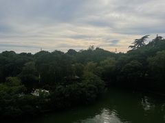 -无锡蠡湖国家湿地公园-蠡园