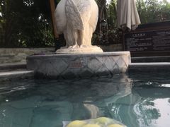 -碧水湾温泉