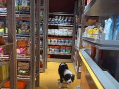 -MARSMART PETS火星宠物超市(1733店)