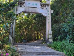 -梧桐山风景名胜区