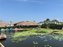-白洋淀风景区