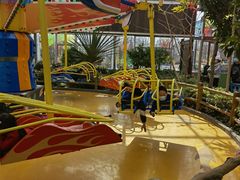 -南宫五洲植物乐园