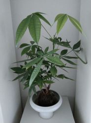 -颜蕾医美·黄金微针·水光·玻尿酸·超声炮·抗衰中心