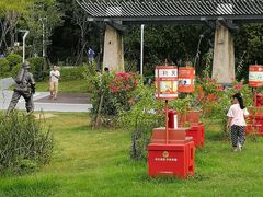 -飞凤山奥体公园
