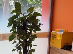 -泰古龙抓龙筋·spa按摩(浦东店)