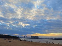 -瑶湖郊野森林公园