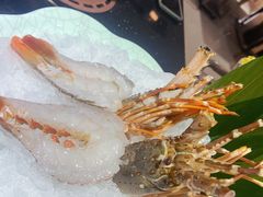 -海鲨湾海鲜会馆(新街口店)