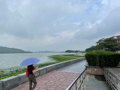 -水上明月·湖景餐厅