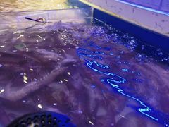 -澜悦港海鲜体验主题餐厅