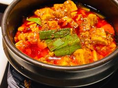 -陈麻婆豆腐总店