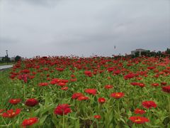 -长春世界雕塑园冰雪艺术天地