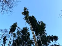 -南山风景名胜区
