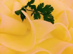 -老码头火锅(玉林店)
