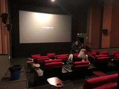 -万达影城(汉街万达广场IMAX店)
