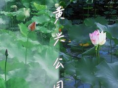 -黄兴公园