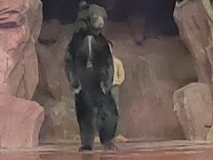 -长鹿旅游休博园